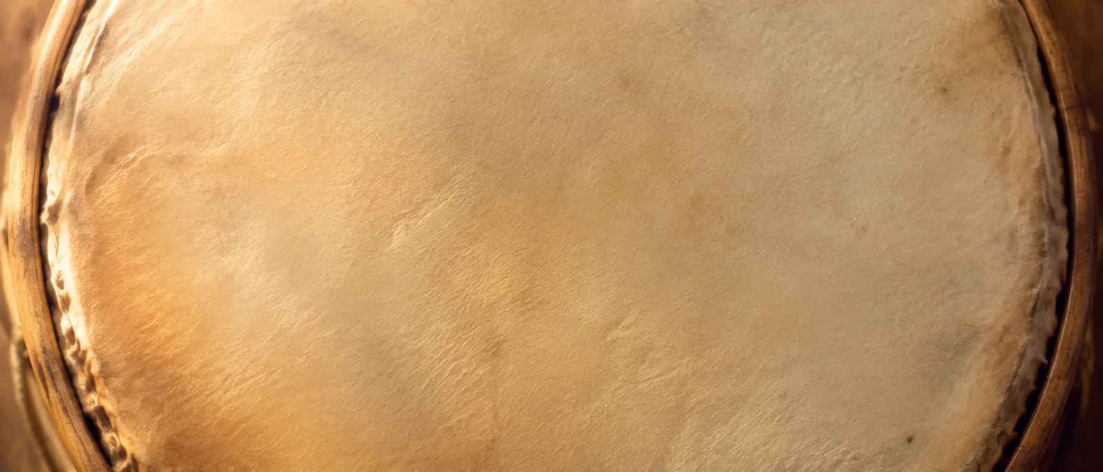 Macro of a goatskin drum head